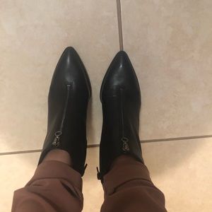 Meet your Posher, Molly